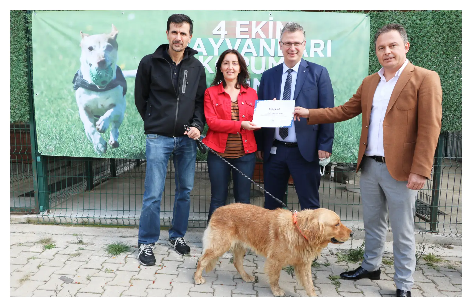 Dünya Hayvanları Koruma Günü Kapsamında, Gebkim OSB Yönetimi ile Beraber, Mama Bağışlarımızla Bu Yıl da Sokak Hayvanlarının Yanındaydık